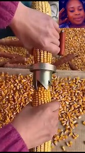 Simple handy corn pealing machine 👌 #farmers #cornfarming #cornstarch #amazingvideo #virals #easywork #machine #everyonefollowers | Uchechukwu Indiana