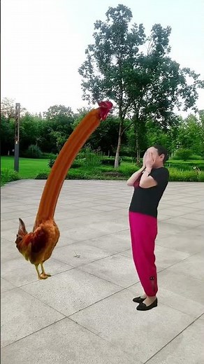 Naughty little cock teasing the fighter among the cock Original video Big cock