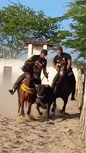 bolão do parque Eriberto Silva #cavalo #desmantelo show #playvaquejada TBT não postado...