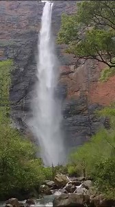 148 reactions · 15 shares | Muthyala Dhara Waterfall enchants with its pristine beauty and soothing melodies!  #Mulugu #Telangana | Y Sathish Reddy | Facebook