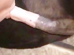 Simone - The Final Cut