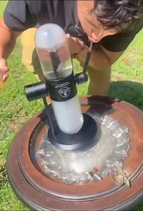 76K views · 58 reactions | Klinci lupom pale mrave, a muškarci sprave ️ | Najnaduvaniji lik | Facebook