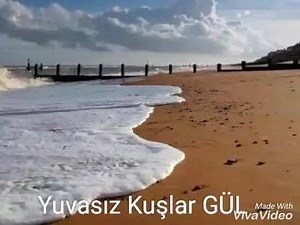 Hiç mi düşünmedin sen "Sevdiğin Böyle Ağlar" - Gelevera Deresi (Sevval San__Kazım Koyuncu) | Yuvasız Kuşlar