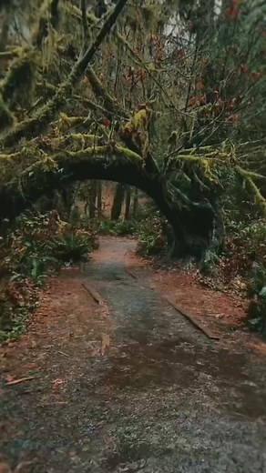 MATURING | David Wolfe