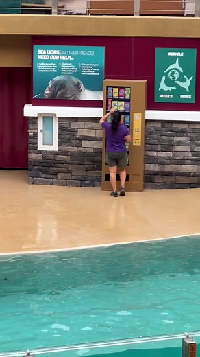 Otter helping to save the earth #demonstration #otter #show #welldone #cleanandgreen | Travisandcousins