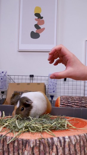 1K views · 27 reactions |  Memorial Day Sale -Last Call  . Don't...