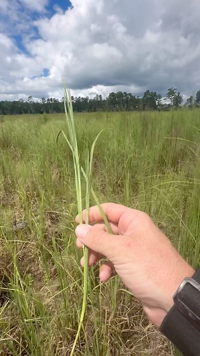 96K views · 6.1K reactions | Property update - it’s been raining | Shirtless Jake's Homestead | Facebook