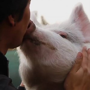 It's beautiful to see how much