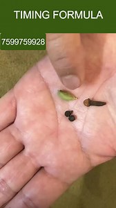 1.3M views · 10K reactions | elaichi se kay fayed #bodybuilding #fitness #gym #workout #fitnessmotivation #motivation #fit #muscle | Improve Health | Facebook