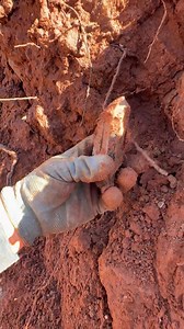 25K views · 432 reactions |  SMOKEY QUARTZ and BROOKITE found only an inch or so beneath the surface! Whaaat!!!!! Thank you to @Avant Mining LLC | The Crystal Collector | Facebook