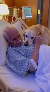 66K views · 1.6K reactions | “He screamed at the nurse — then the dog...