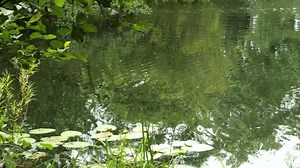 Just incase you havent seen it. Here it is..... | HOOKED TACKLE | Facebook