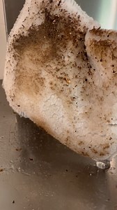 Our fibers are specially designed to trap grease and grime, making tough cleaning tasks a breeze!  | Ha-Ra Australia | Facebook