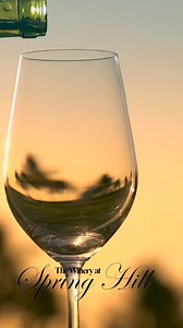 #wineryspringhill #livemusic #genevaohio #ohiowinecountry | The Winery at Spring Hill | Facebook