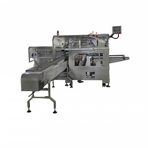 [Hot Item] Streamlined Aptd-200 Automatic Horizontal Bagging Machine for Side Gusset Bags with CE