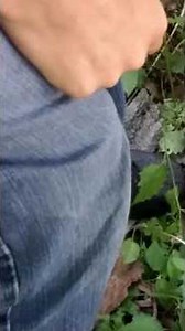 Chipmunk hunting 101