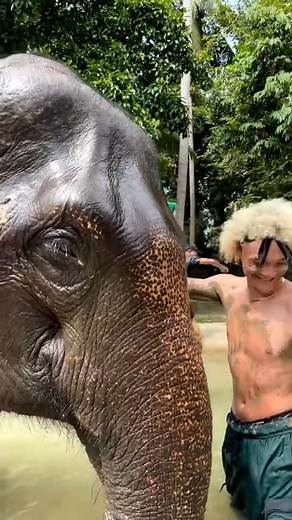 Kissing an Elephant! 😂 | 4fun