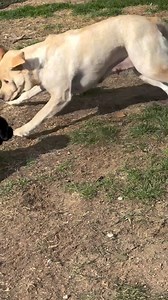 168K views · 2.6K reactions | Chọc con bà hả | Cưng | Facebook