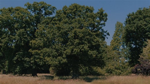 🎬 Join us at our MAO Late on 27 April for a screening of Ungentle, a major new film commission by Huw Lemmey and Onyeka Igwe exploring the complicated relationship between British espionage and male homosexuality. Find out more and book: https://buff.ly/3KdyTyN Based on extensive historical research, the film is narrated by an imagined, enigmatic auteur (played by Ben Wishaw) whose fraught position as both a spy and gay man in the mid–20th century is troubled by sex, secrecy, politics and imper