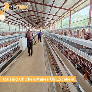 [Hot Item] Automatic Battery Egg Poultry Battery Cage Poultry Equipment Chicken Layer Cage