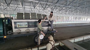 The trout trucks are rollin', and by the end of the month, all scheduled waterbodies will be stocked! The daily limit is eight trout on general regulation trout waters. Anglers are reminded to respect private property rights along streams flowing through private lands, and to obtain permission before fishing on private property. Popular waterbodies that receive regular trout stockings include Rock Creek in Fannin County and Dicks Creek in Lumpkin County on the Chestatee Wildlife Management Area.