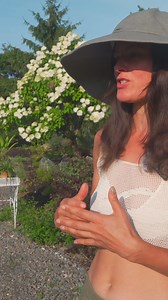 1.6K views · 22 reactions | The Flock Finger Lakes lawn-to-garden transformation has made incredible progress! Follow along as Summer Rayne Oakes shares insights into the process and gives a tour of the new flowers, trees, and shrubs planted with the help of #EspomaOrganic. Watch the full video here: https://heyor.ca/8Wewuf | Espoma Organic | Facebook