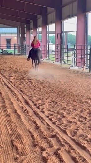 IN AUCTION SATURDAY 4-27-24 18 yr old mare. Used as a kids play day horse. Great babysitter | Elkhart Horse Auctions