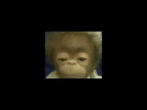 playboi carti - draco (prod. phasewave) speed up tik tok version