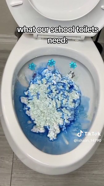 Improving School Toilets for Better Hygiene and Comfort