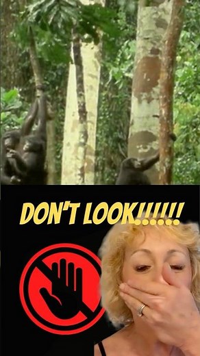 This Is What REAL Animal Mating Looks Like (Full Footage)