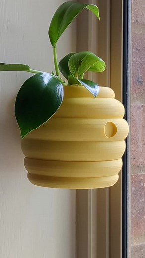 I made some updates to the beehive wall planter based on feedback #plantdecor #renterfriendly #plantok #wallplant #indoorplants