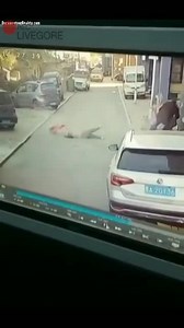 Window Cleaner Falls 12 Stories