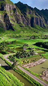 One of my favorite "50 First Dates" Scene Adam Sandler (Henry Roth) asked Rob Schneider (Ula) to "fake beating him up" on the side of this road. So Drew Barrymore (Lucy Whitmore) can stop driving her car and help Adam Sandler. Drew end up beating up Rob Schneider with a baseball bat. Filming locations: Kualoa Ranch, O'ahu #nakedhawaii Video and Caption by @s2rp3roi #hawaiilove #gorgeous #epicplaces #fiftyfirstdates #adamsandler #Oahu #hilife #kualoaranch #kualoa #aloha #movies #favoritemovie #ha