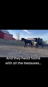 #amishfarmsale#ohio #farmsale #trending #anotherwayoflife #culture #AmishWays #LaRanch | Linda A Yoder