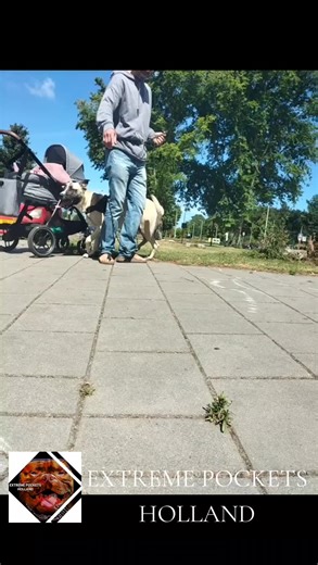 extreme_pockets_holland_ op TikTok