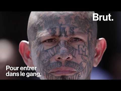 MS-13, the most dangerous gang in the United States