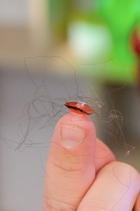 1K views | A cool gadget for washing contact lenses  | 123 GO House | Facebook