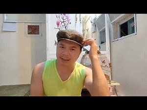 how to fix bird "broken cage"