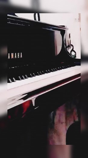 Piano Show on TikTok