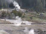 Woman and her dogs seen walking around a closed Yellowstone