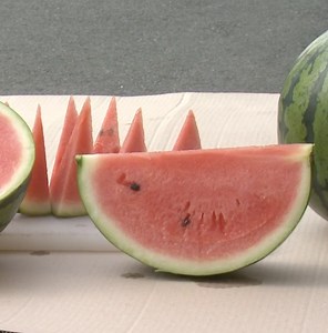 Summer in Japan = watermelons and more watermelons🍉🍉🍉(And source says Kumato watermelon is simply delicious!) For more details about Kumamoto prefecture, click on the link! https://www.wowu.jp/areas/kumamoto?locale=en | WOWU-media