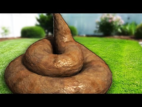 POOP SIMULATOR!