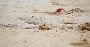 Video by Soumen Ghosh on Pexels