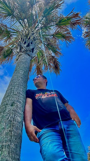 108 reactions · 19 shares | Feliz Cumpleaños Cali 488 Años ♥️ | Museo de la Salsa | Facebook