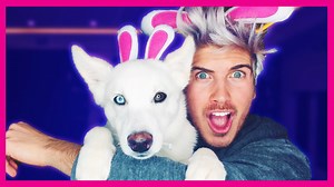 A Mischievous Puppy Earns the Nickname Playboy