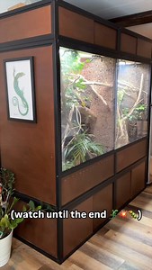 18K views · 312 reactions | Feeding Sabzi and Basil, my green tree...