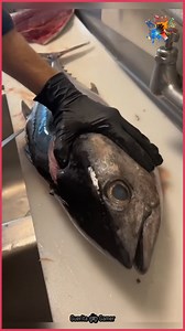 Is filtering fish easy or difficult 👏😛😛 | Mashbeatz