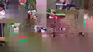 𝟭𝟱𝟬 𝗗𝗔𝗬𝗦 until the most extraordinary Kentucky Derby yet! 🏆 🌹 Shop the Mint Julep glass & NEW merch 🌹 Share your favorite #MyDerbyMemory 🌹 Buy your tickets for the 150th Kentucky Derby! Learn More 👉 https://bit.ly/3RtFitf | Kentucky Derby