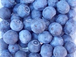 Blueberry Plants - Garden Guides