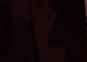 Lydia Hearst on Reels